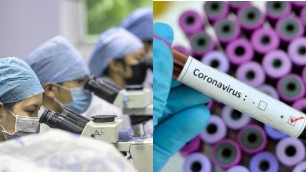 Coronavirus, arriva il vaccino dagli Stati Uniti. «Pronti i test sull’uomo»