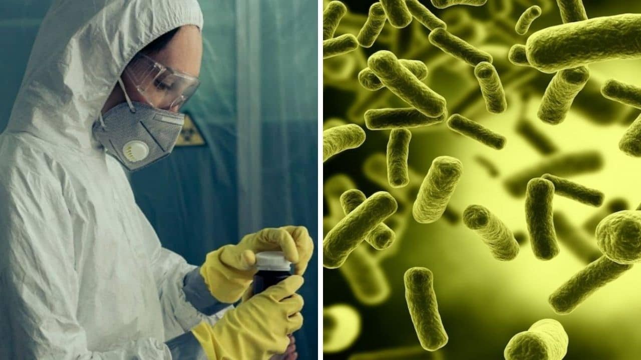 Fuga di batteri da un laboratorio in Cina: adesso sono oltre 3 mila le persone malate di brucellosi